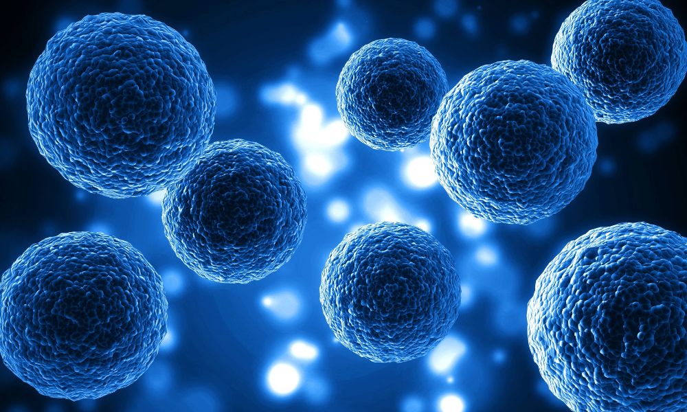 Human Stem Cells Skincare: Is It Safe? Sourcing and Patch Test