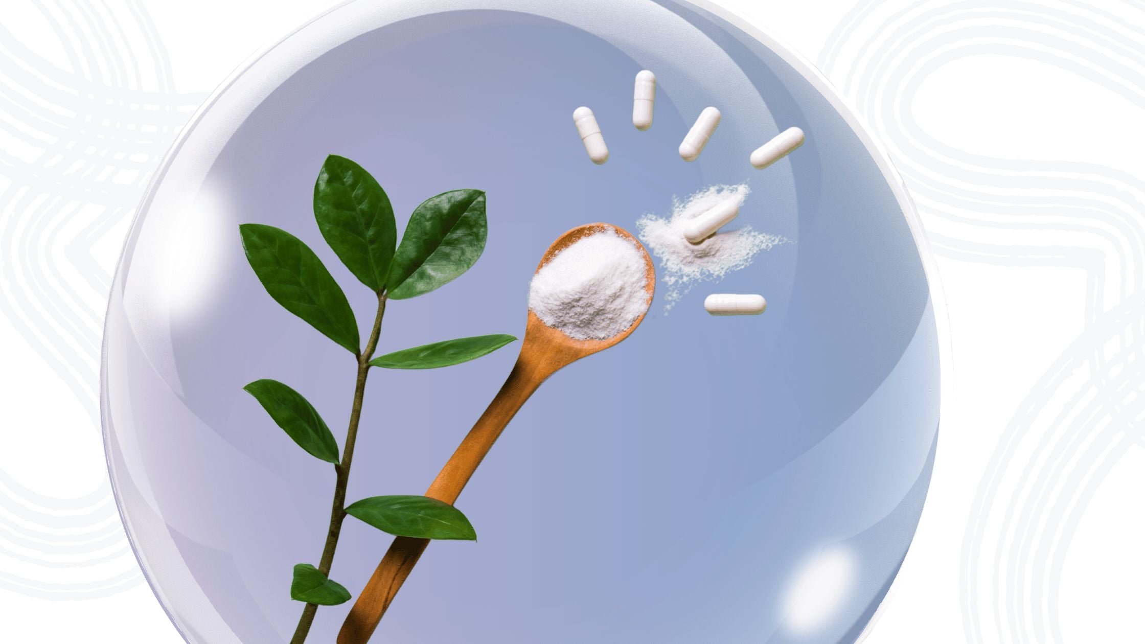 Which Brand is Best for Purest Collagen?