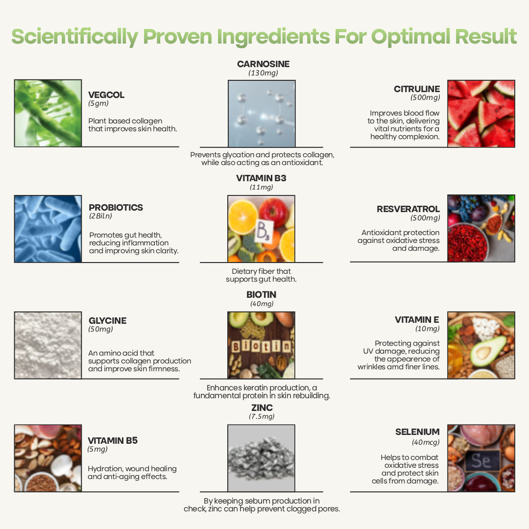 Glycura Veg With Vegcol Carnosine Infused Collagen