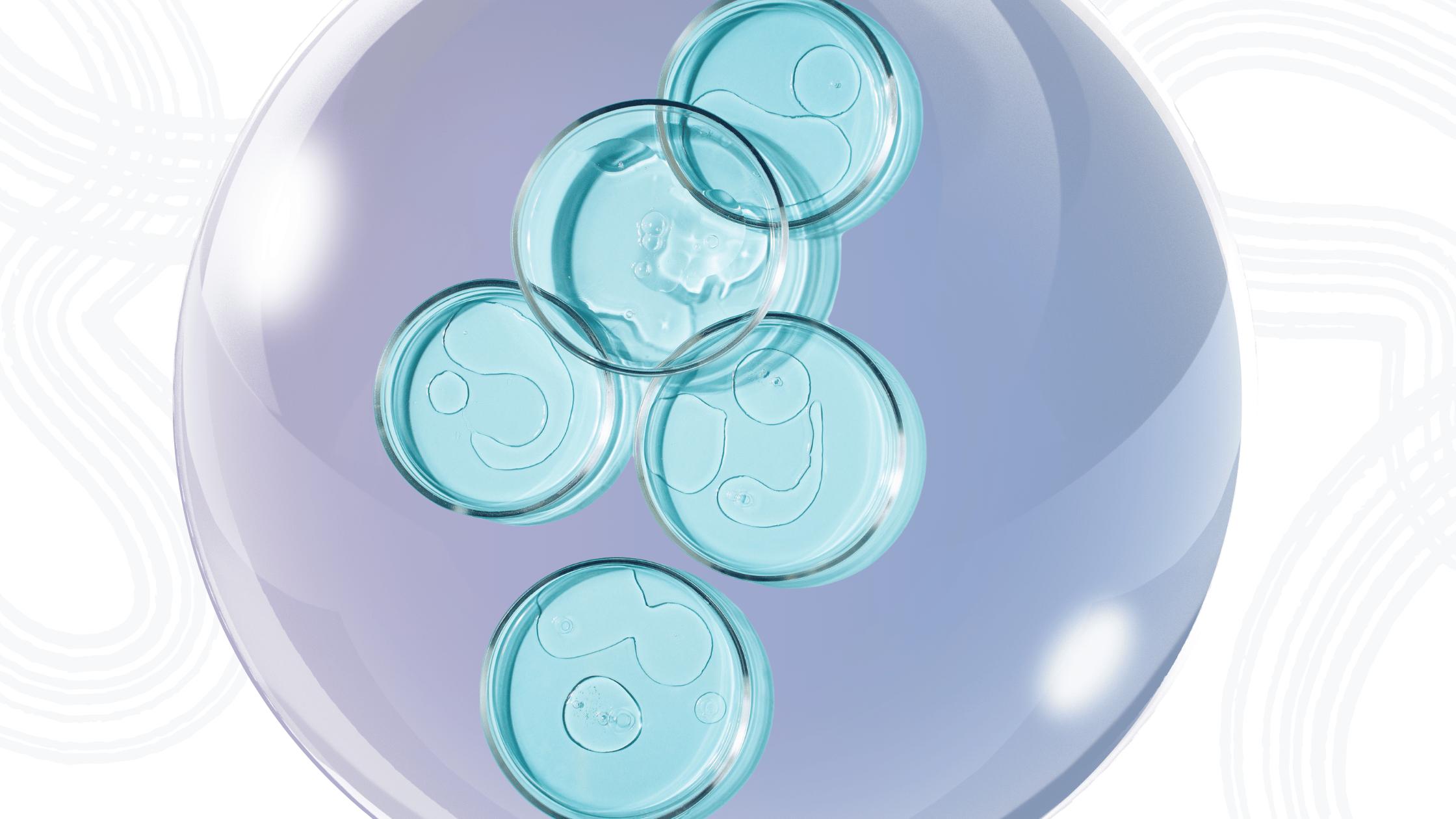 Marine vs Bovine: Which Source Offers the Purest Collagen?