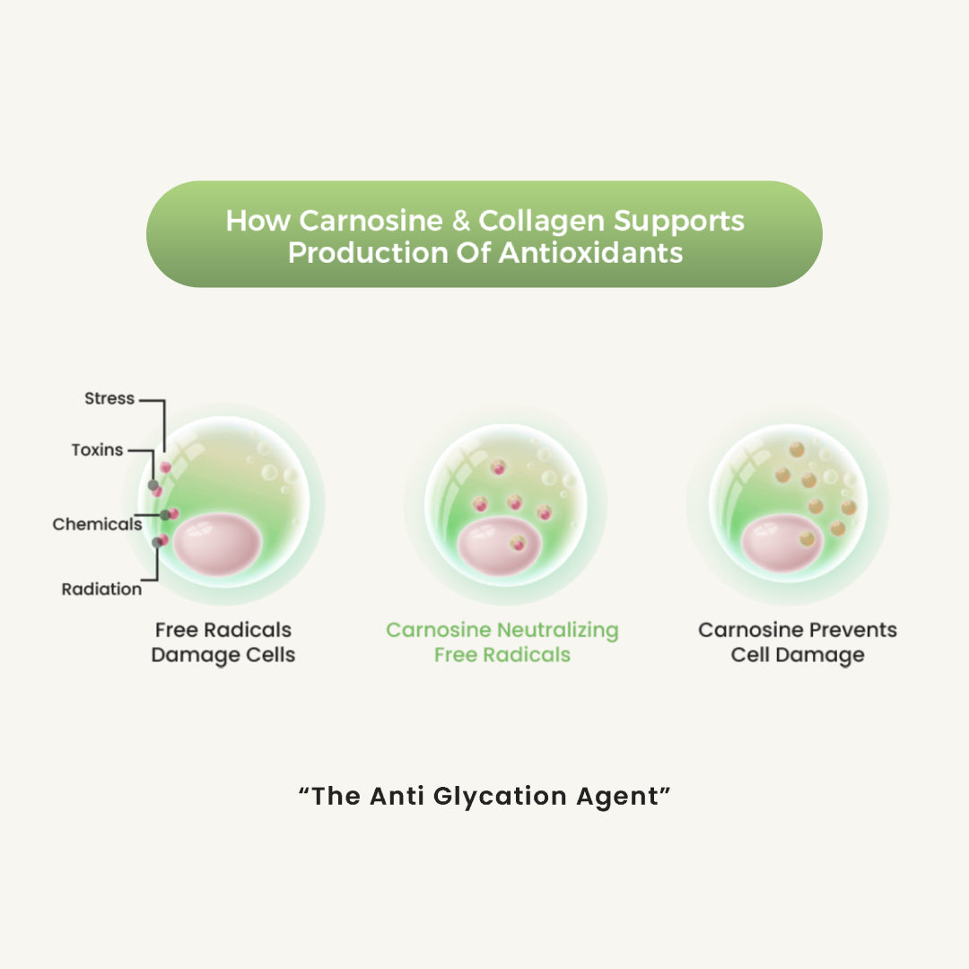 Glycura Veg With Vegcol Carnosine Infused Collagen